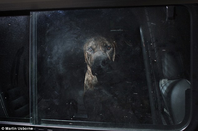 article-2277957-178ABA6C000005DC-408_634x422