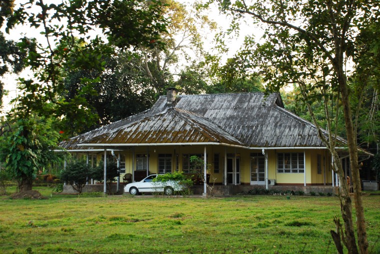 british-bungalow-tocklai-experimental-station-jorhat